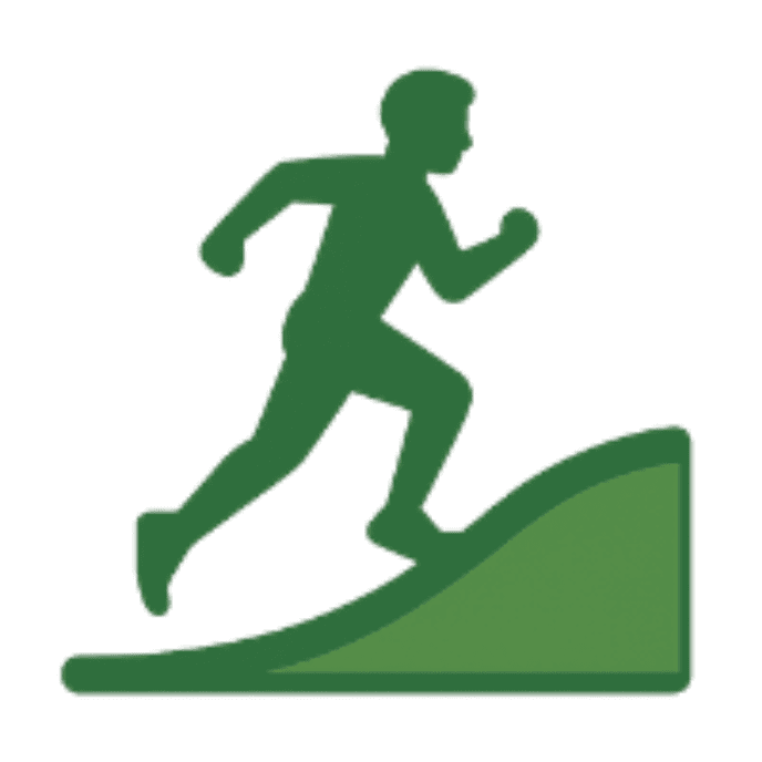 Type icon