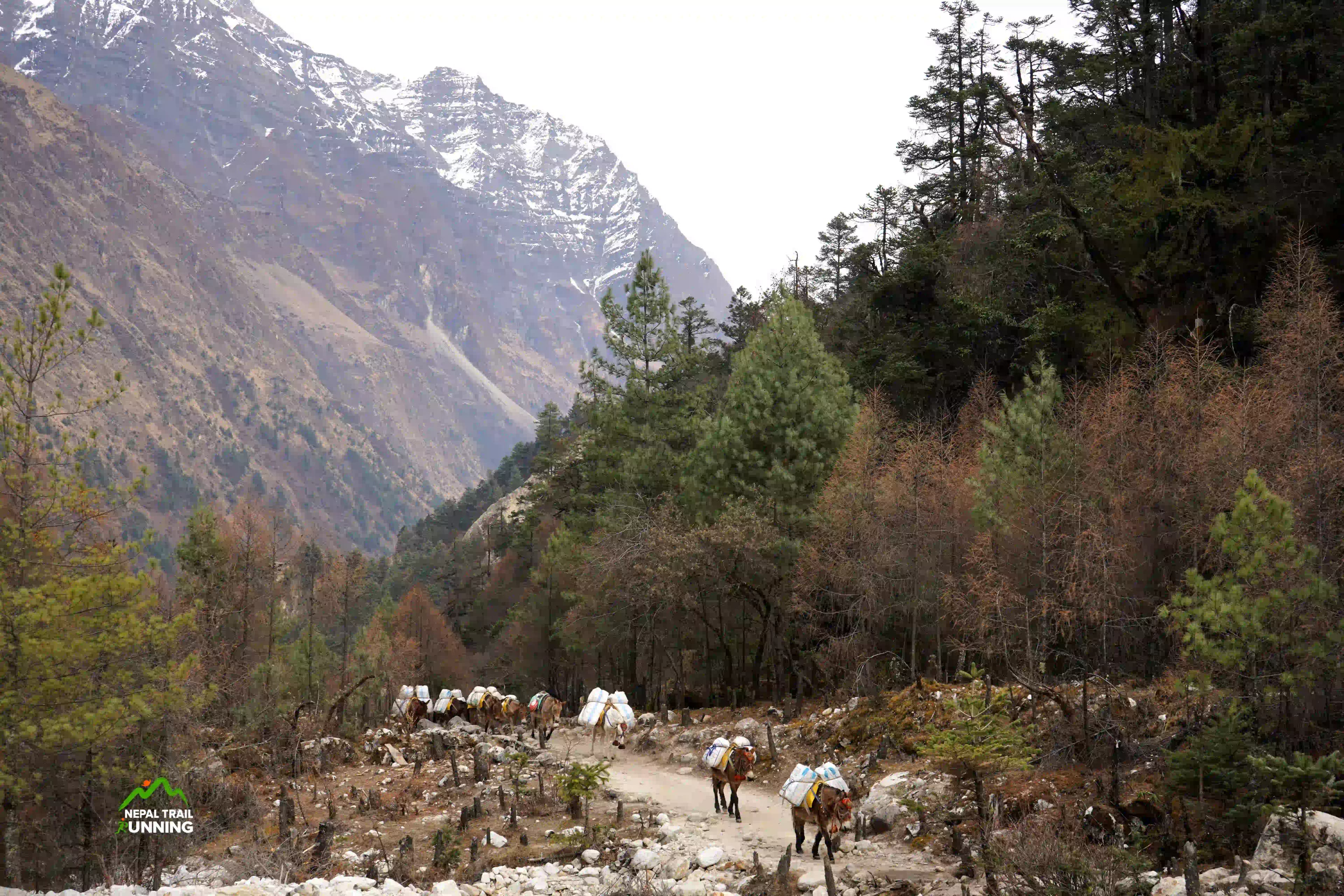 Manaslu Circuit Trail Running - 9 Days - Image 1