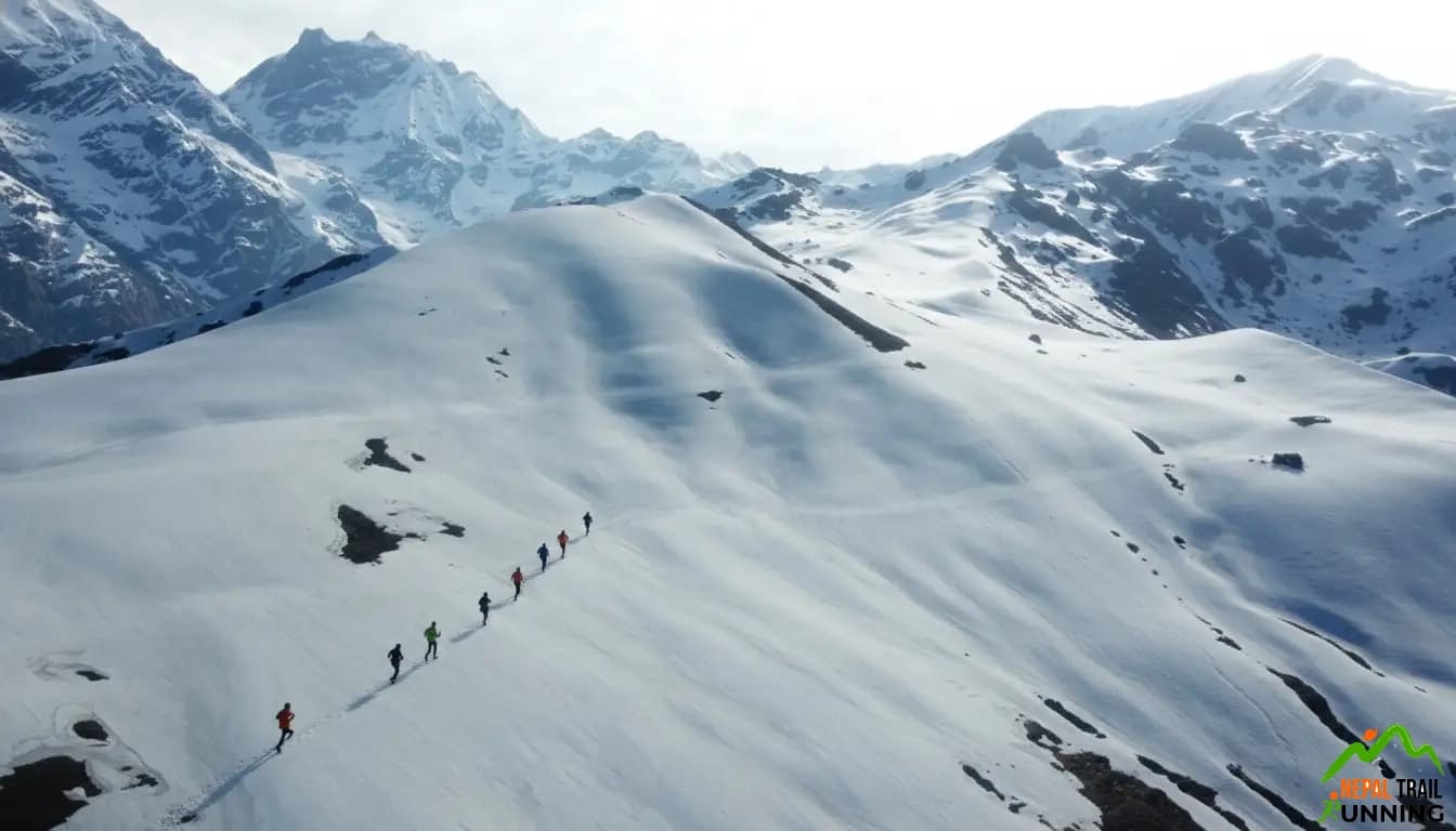 Ariel view of trail runners  running towards kori