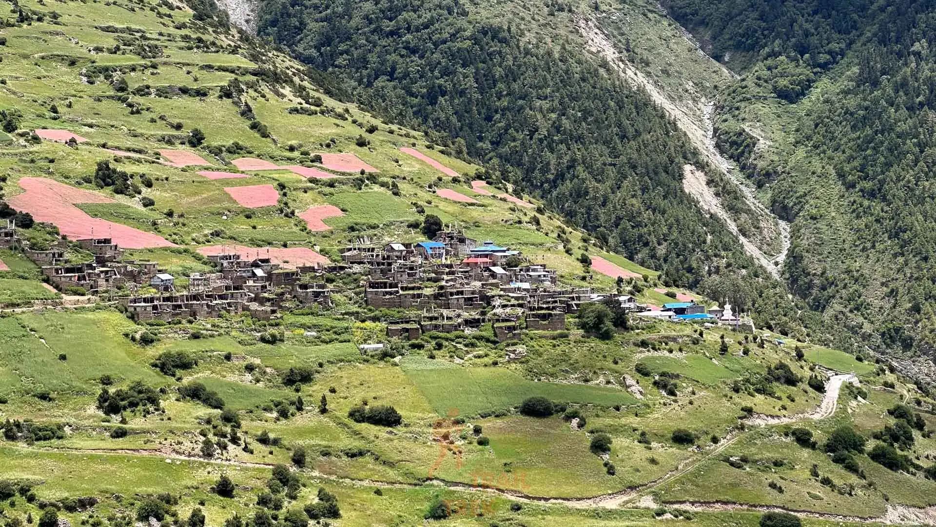 Annapurna Region