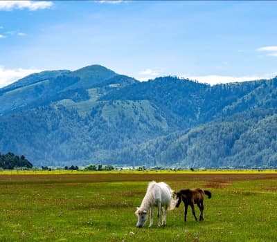 Dhorpatan Trek