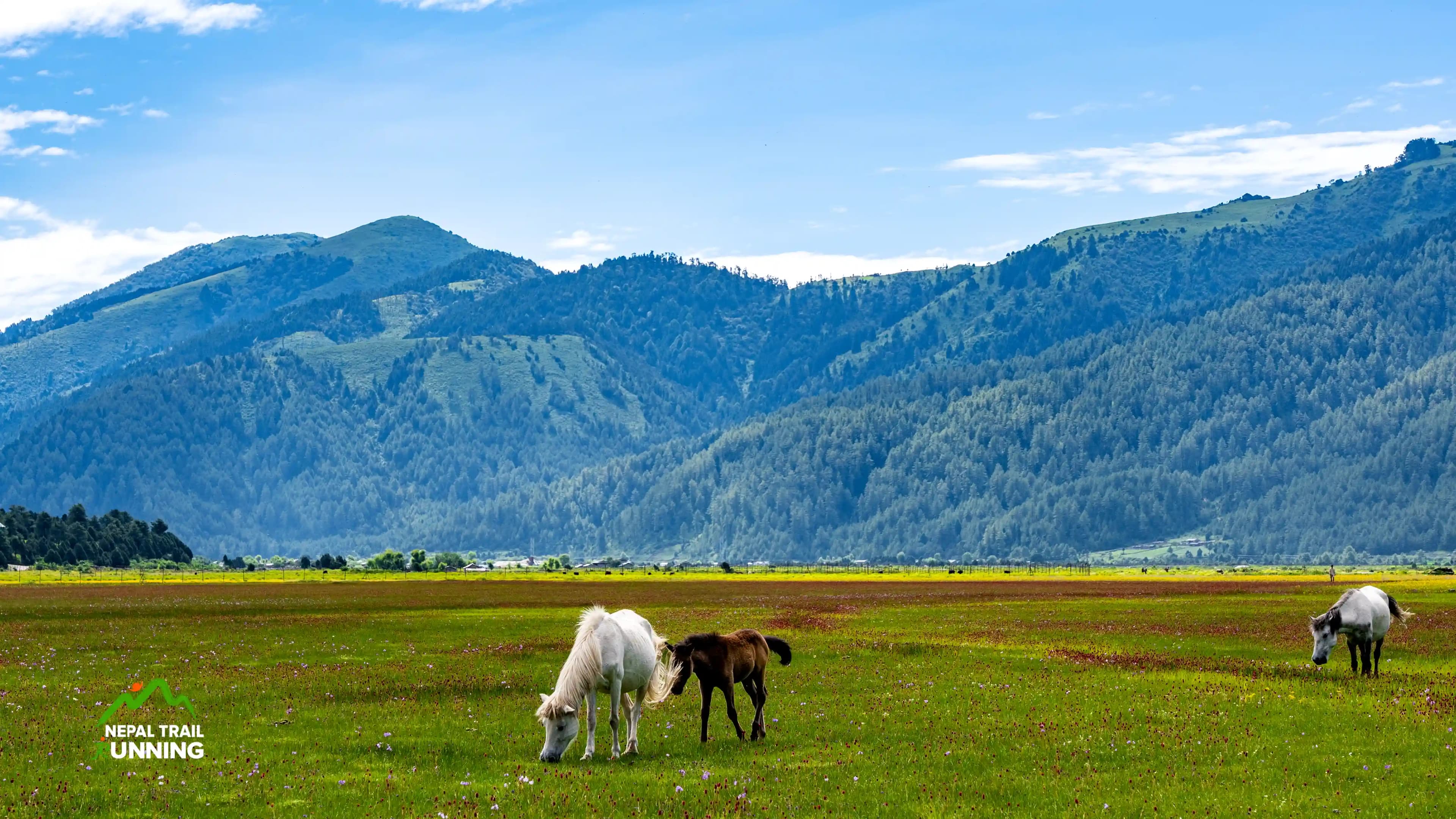 Dhorpatan Trail Run - 6 Days - Image 1