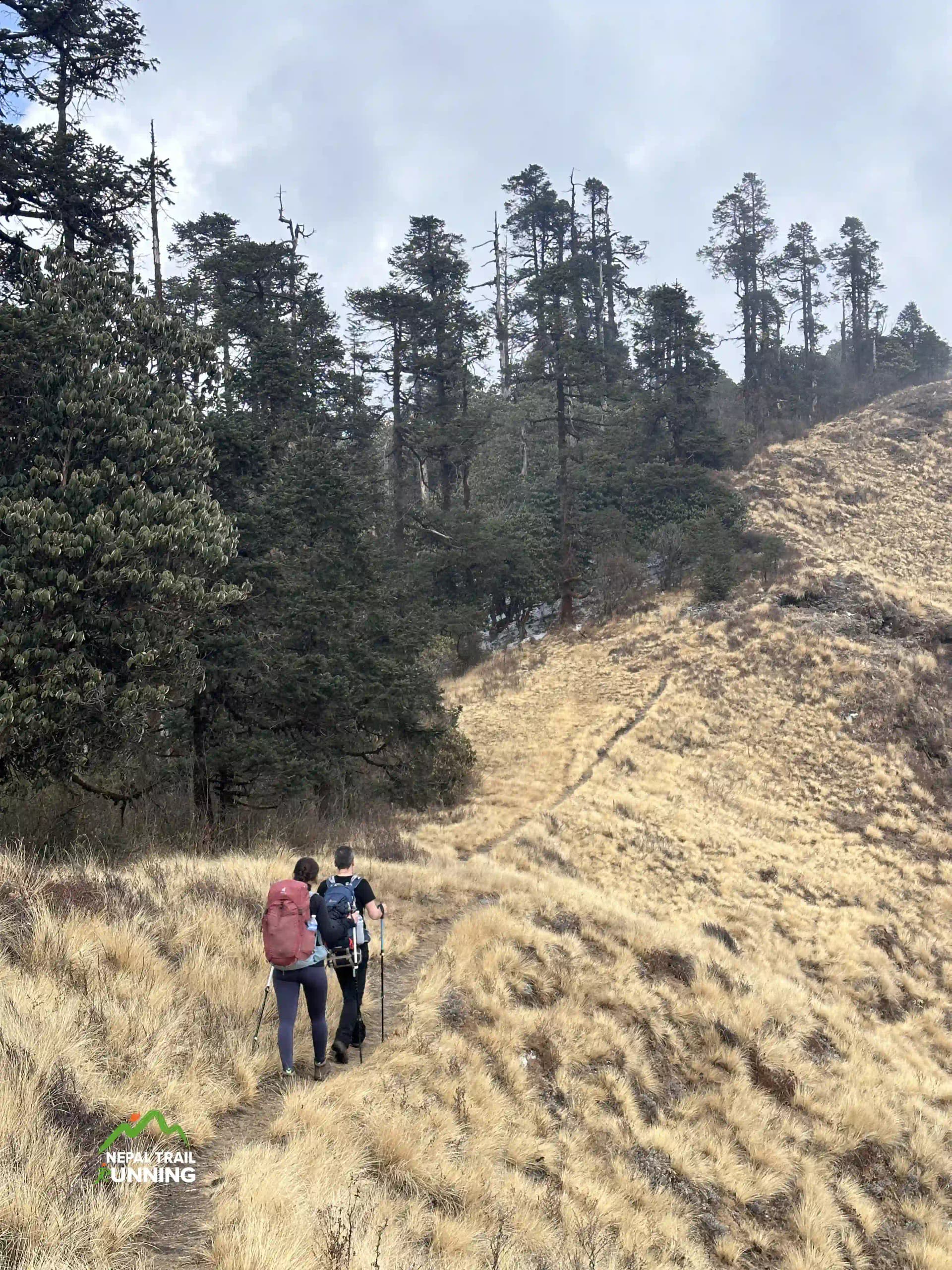 mohare danda trail